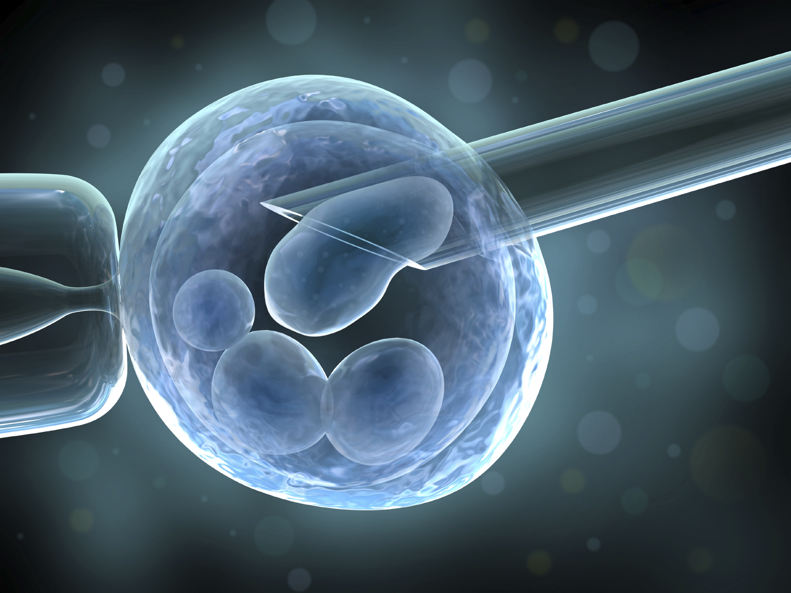 NPV-opinie in Katholiek Nieuwsblad: ‘Embryo’s zijn te waardevol om te vernietigen’