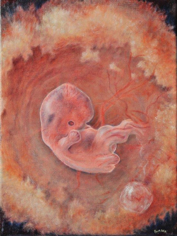 Beslis niet te snel over embryo-onderzoek