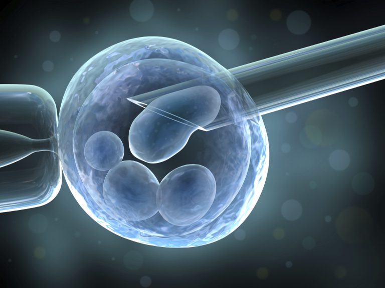 NPV: ‘Wetsvoorstel embryoselectie gaat over ethische grenzen heen’