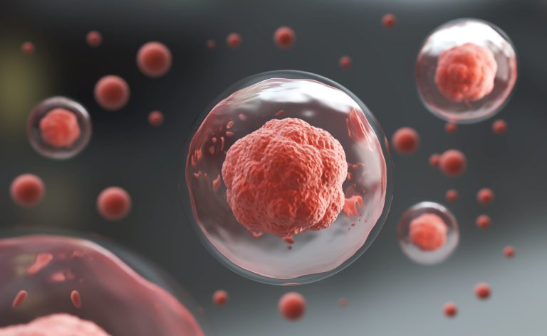 NPV reageert op wetsvoorstel embryokweek: ‘Embryo’s zijn té waardevol’