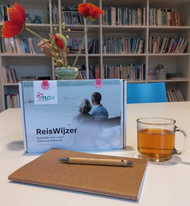 ReisWijzer-koffer